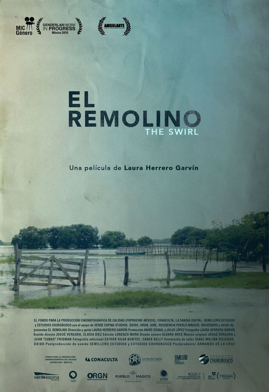 Poster of El remolino - Cartel