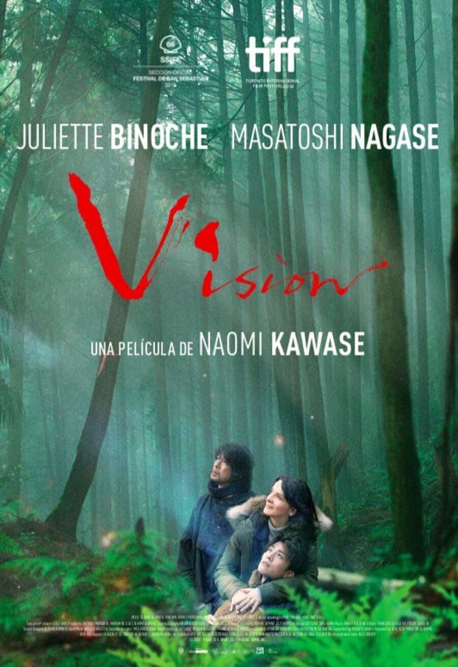 Poster of Vision - Póster español