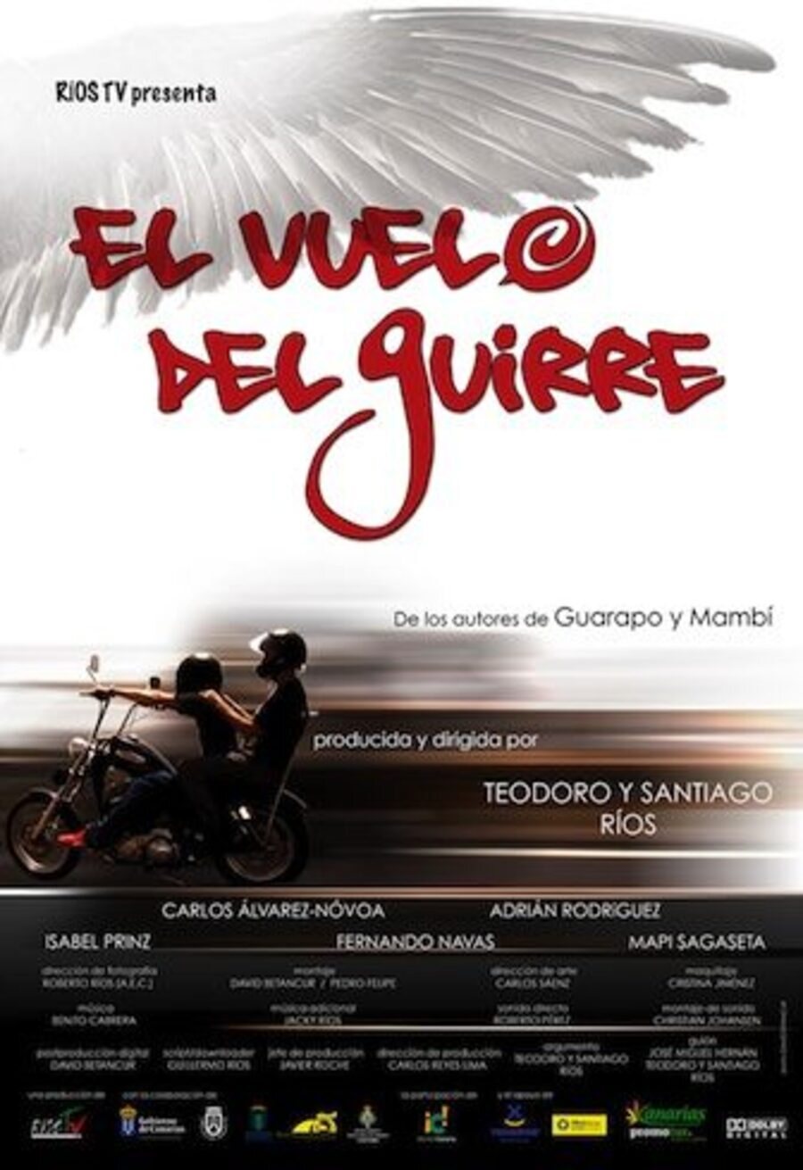 Poster of El vuelo del guirre - España