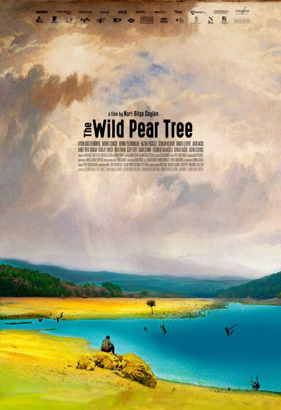 Poster of The Wild Pear Tree - Internacional