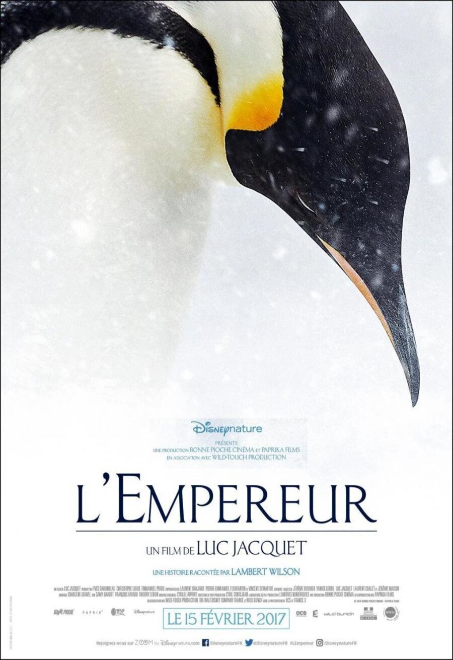 Poster of March of the Penguins 2: The Next Step - Francia