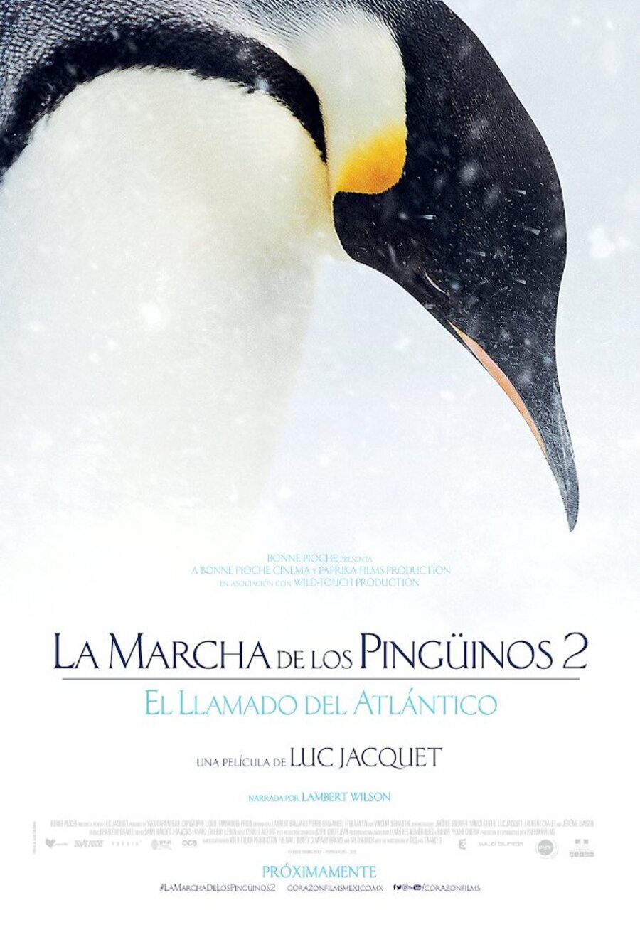 Poster of March of the Penguins 2: The Next Step - México