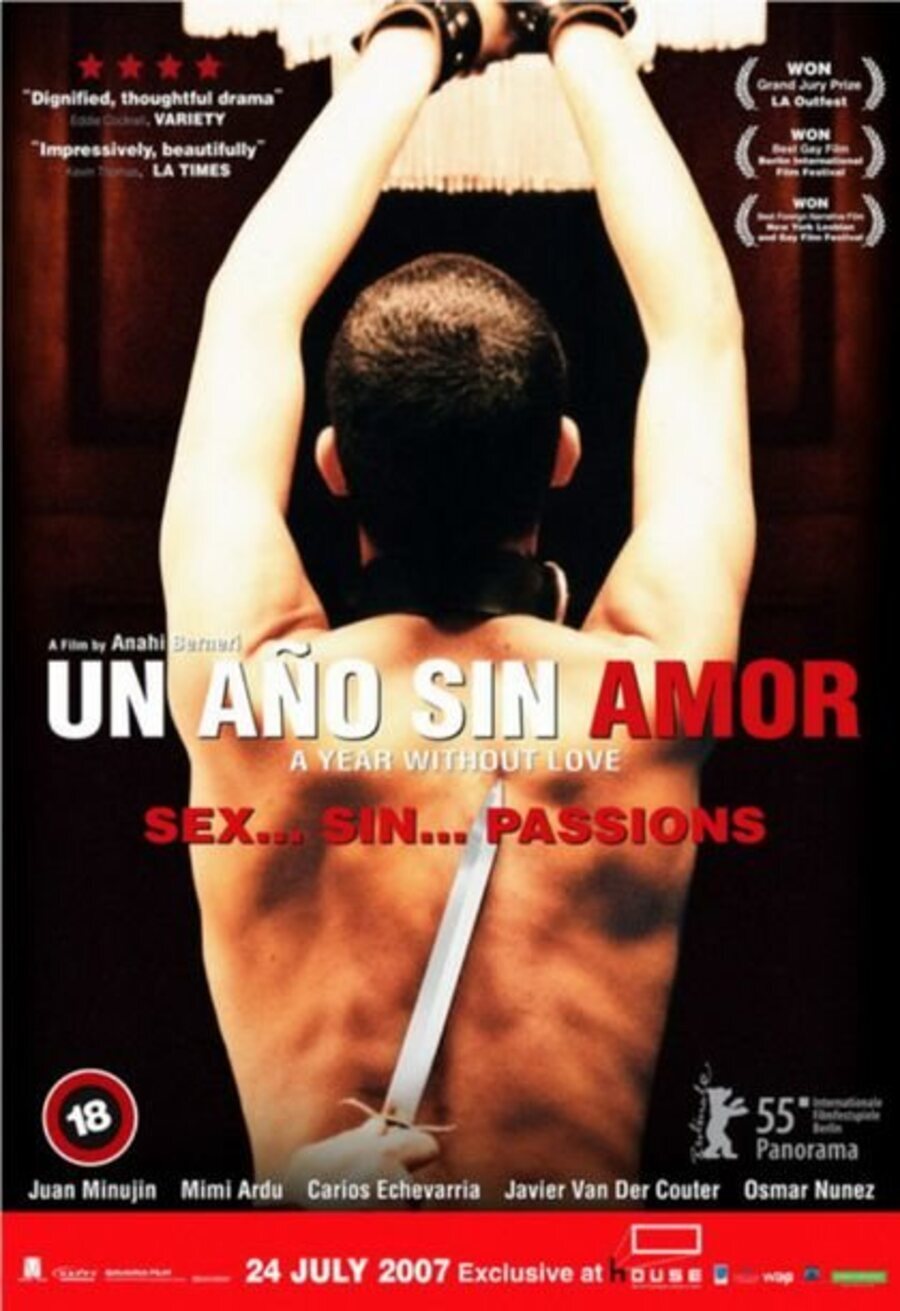 Poster of A Year Without Love - Cartel argentino