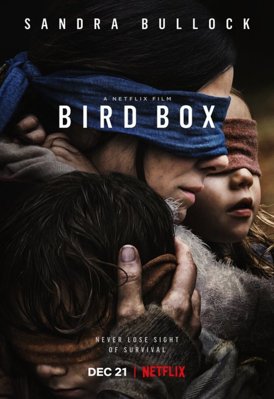 Poster of Bird Box - Bird Box