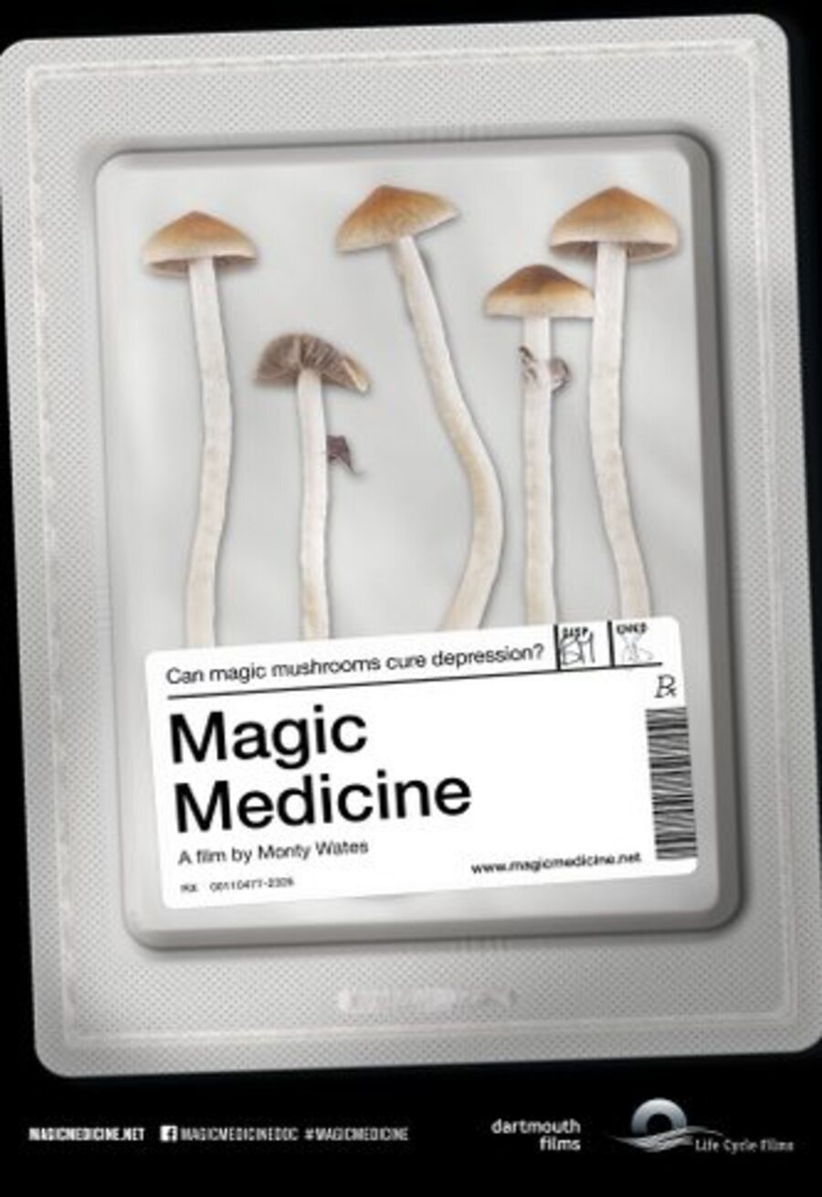 Poster of Magic Medicine - Poster