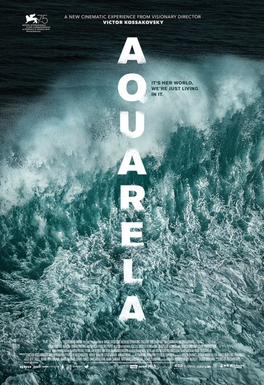 Poster of Aquarela - Aquarela