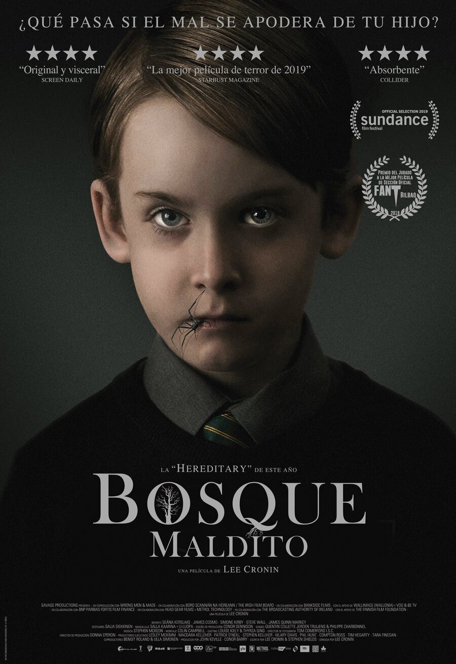 Poster of The Hole in the Ground - Póster 'Bosque Maldito'