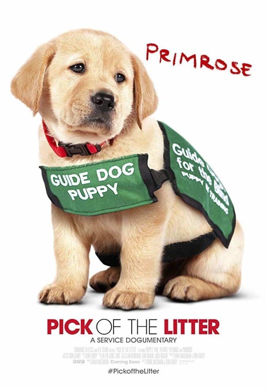 Poster of Pick of the Litter - Pick of the Litter