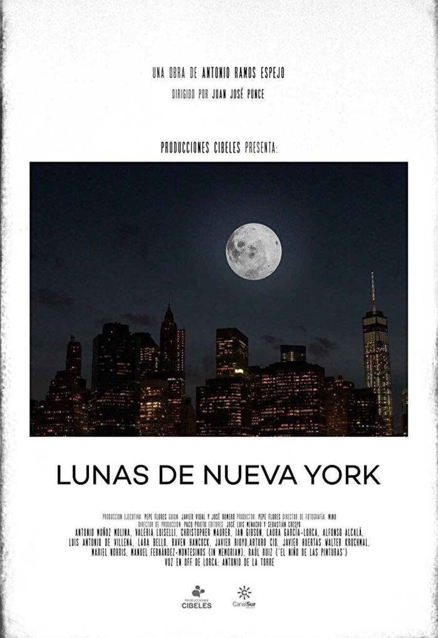 Poster of Lunas de Nueva York - Cartel