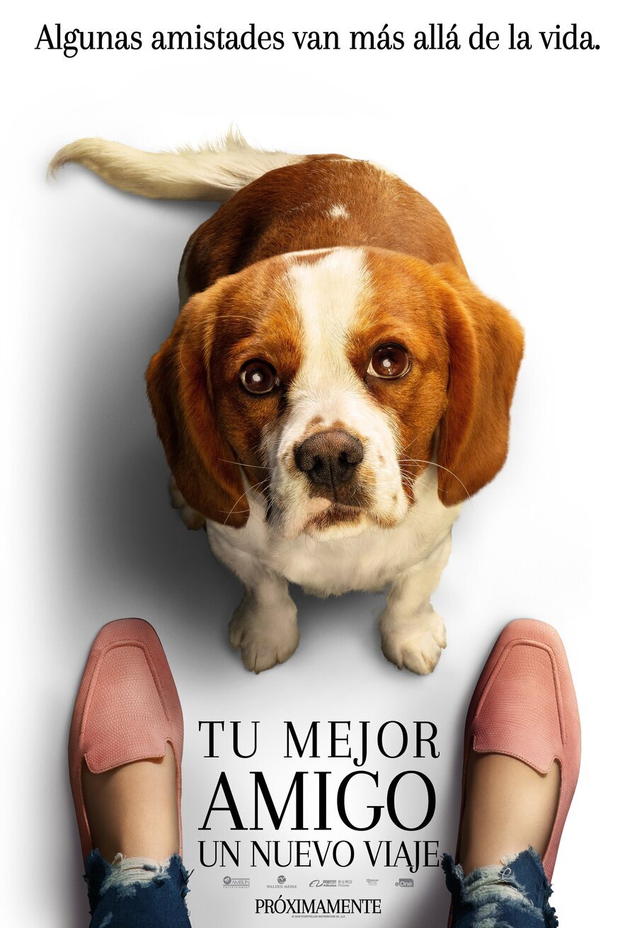 Poster of A Dog's Journey - Póster Molly