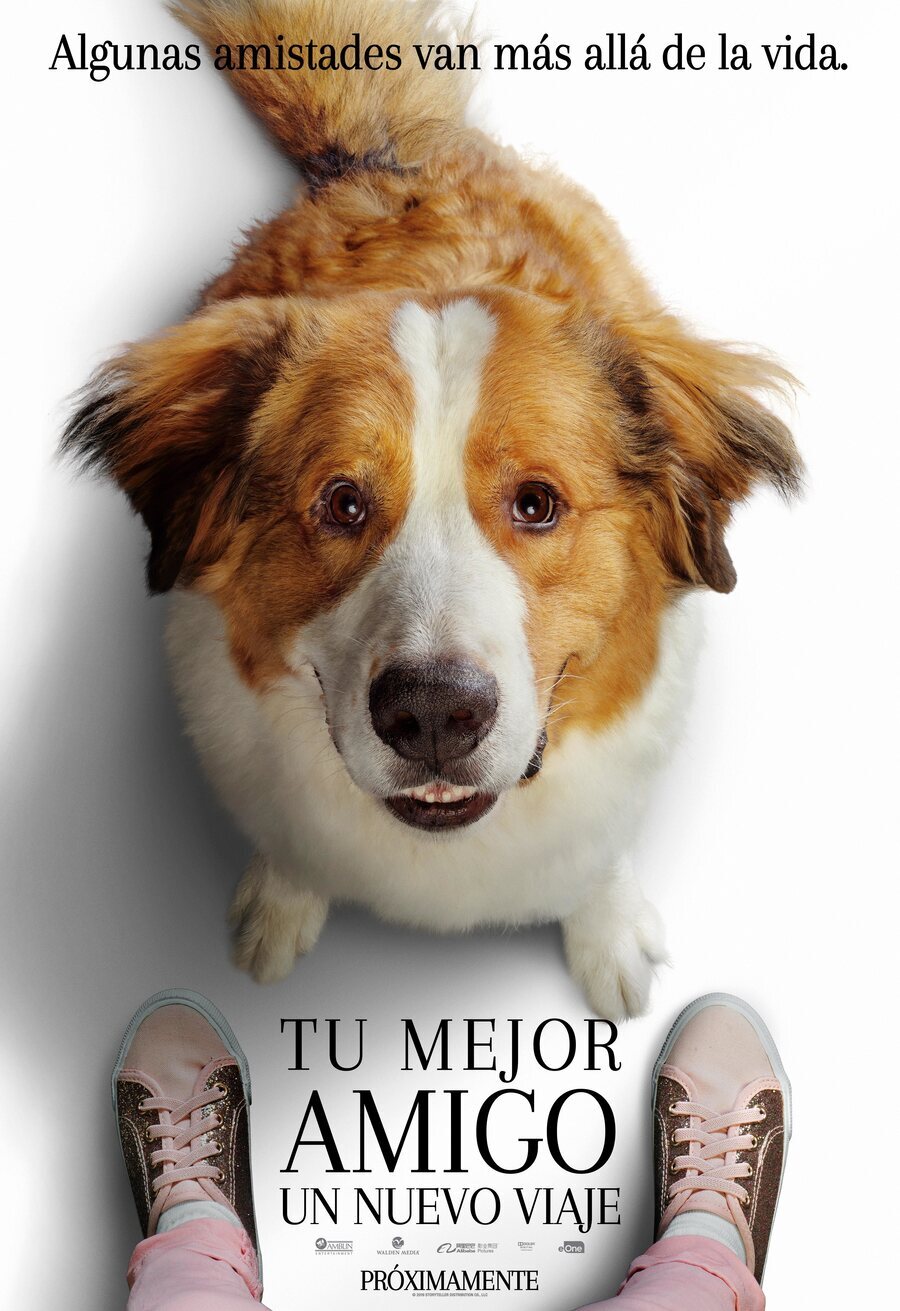 Poster of A Dog's Journey - Póster Bailey