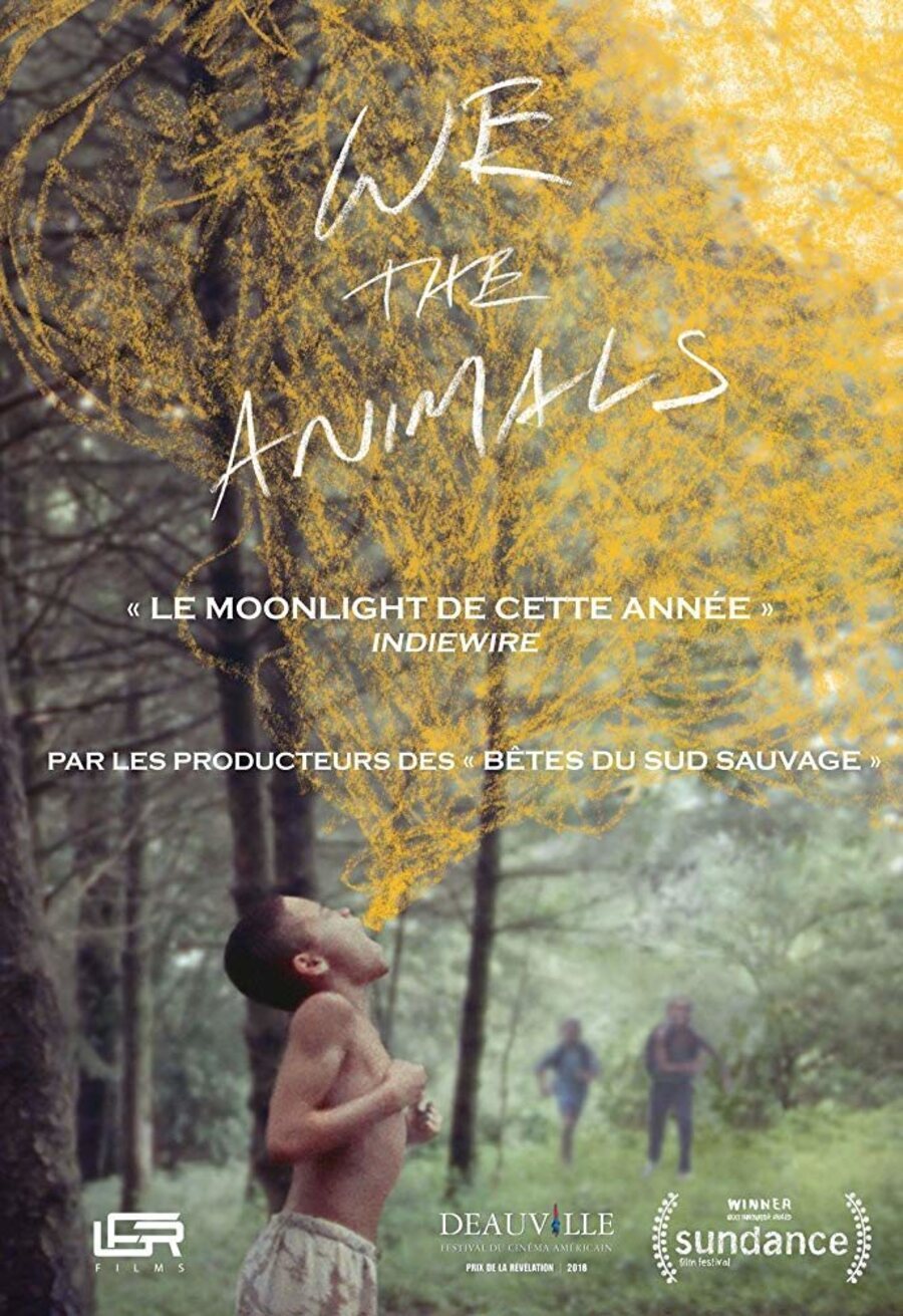 Poster of We the Animals - 'We The Animals'