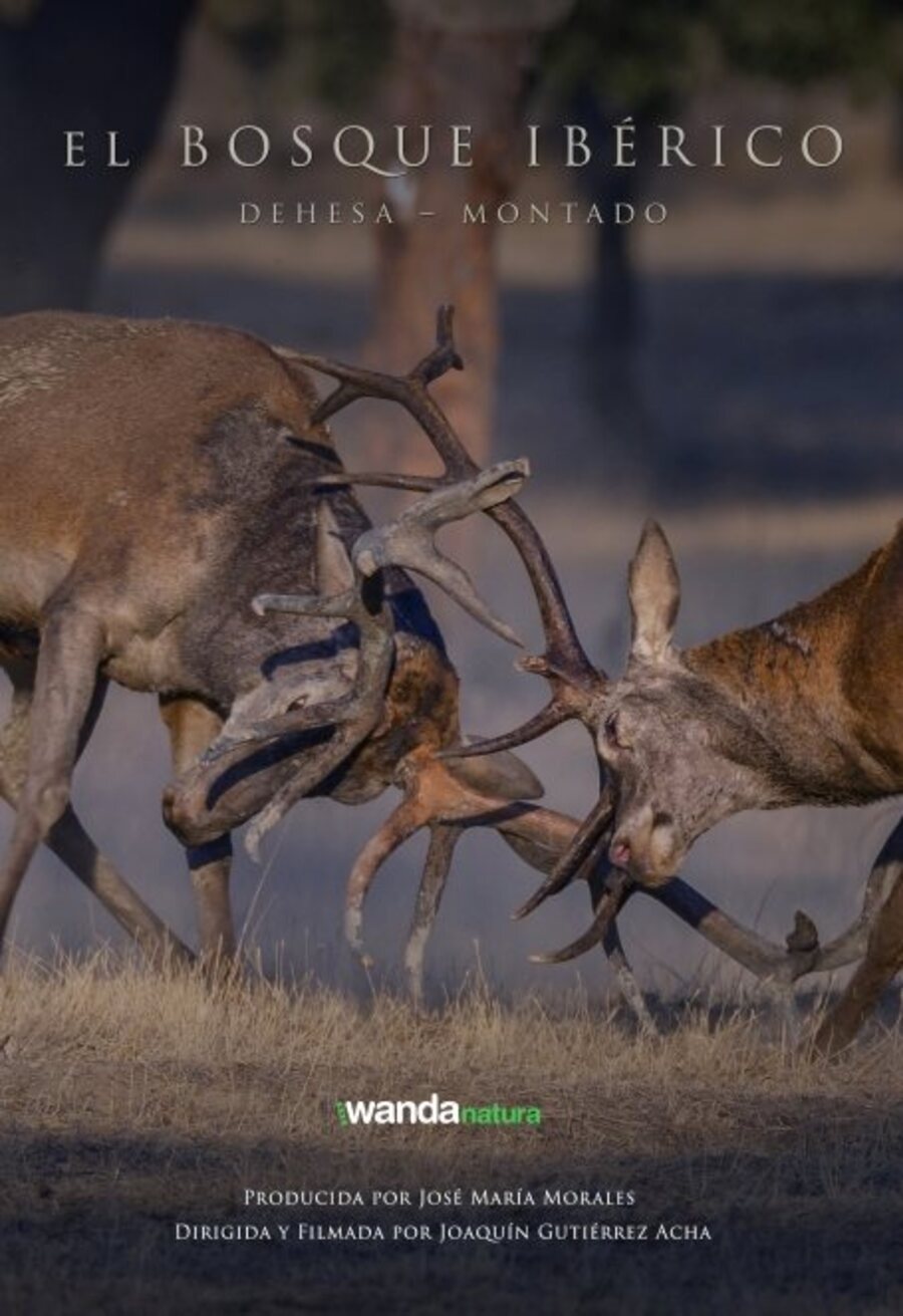 Poster of Dehesa, el bosque del lince ibérico - 