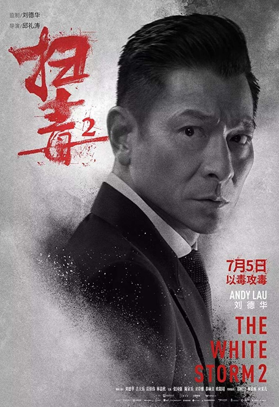 White storm. Энди Лау 2019. Фильмы Энди Лау 2019. Э. И Энди. Andy lau Duel.