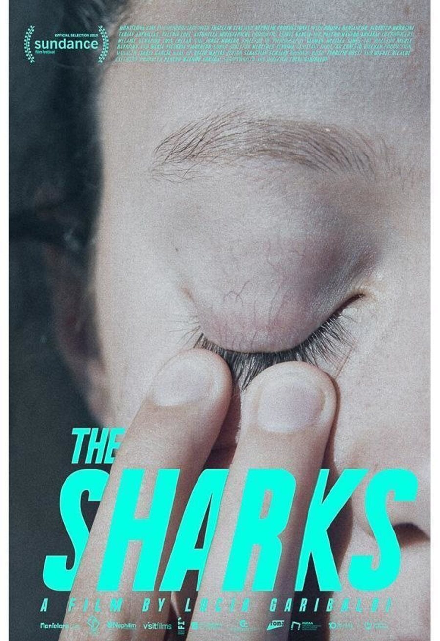 Poster of The Sharks - Internacional