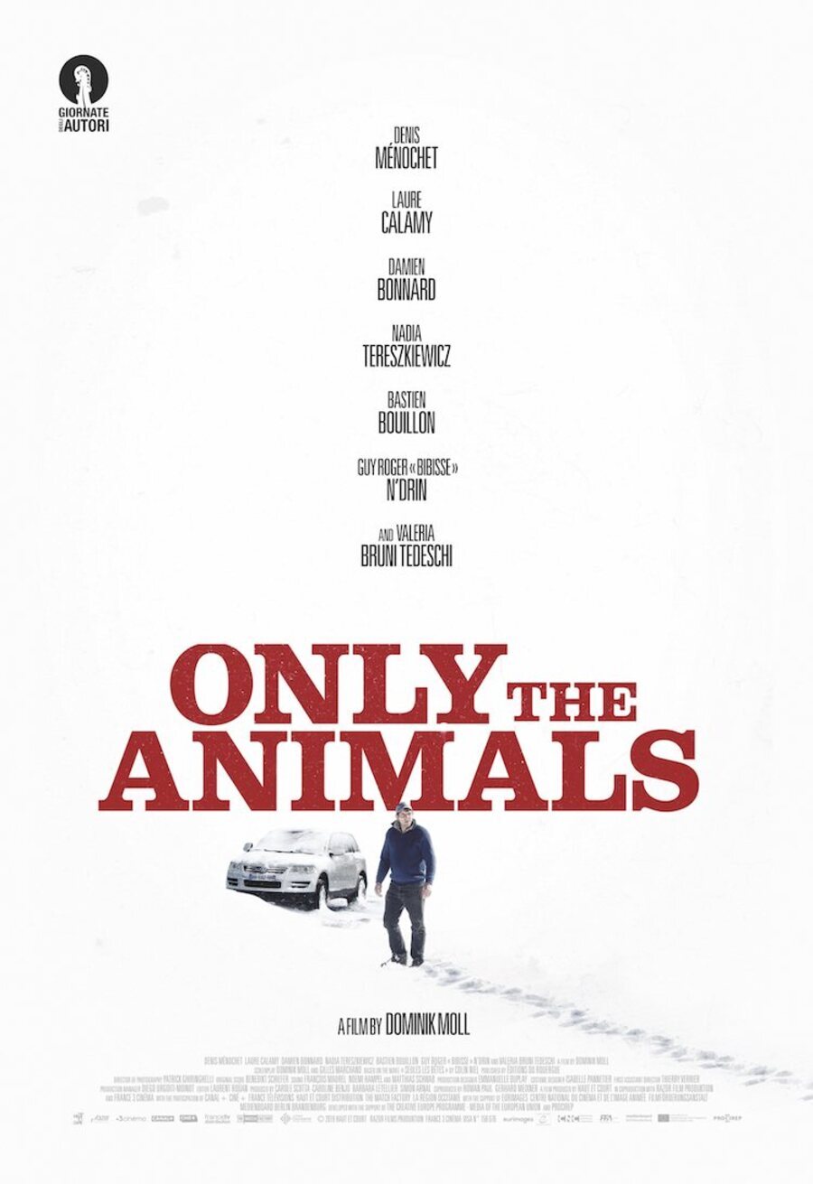 Poster of Only the Animals - Internacional