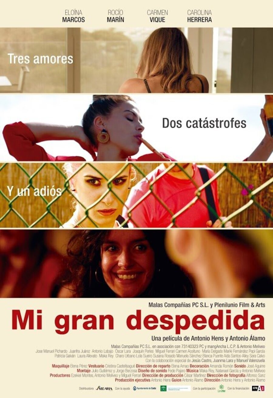 Poster of Mi gran despedida - España