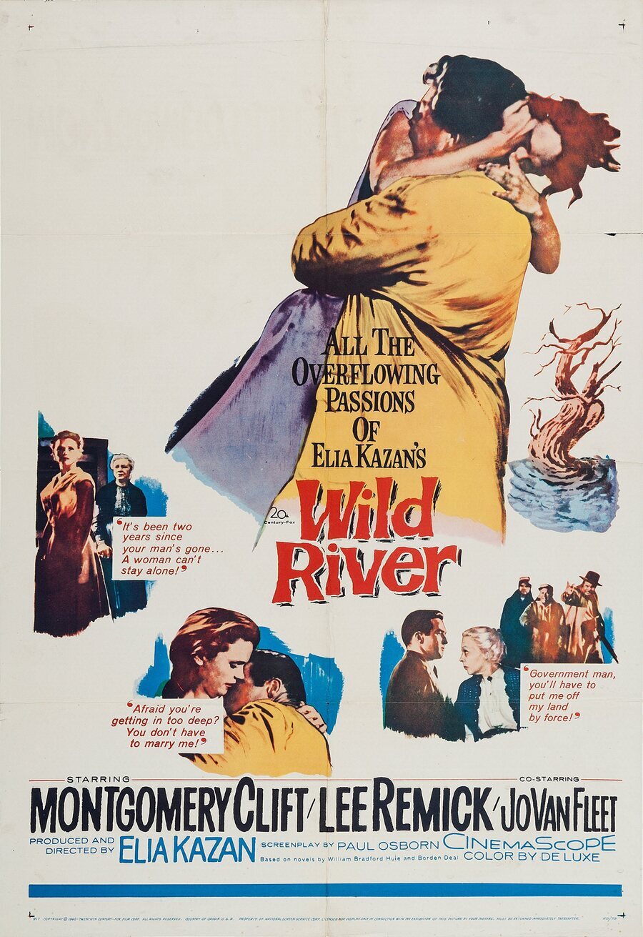 Poster of Wild River - Clásico