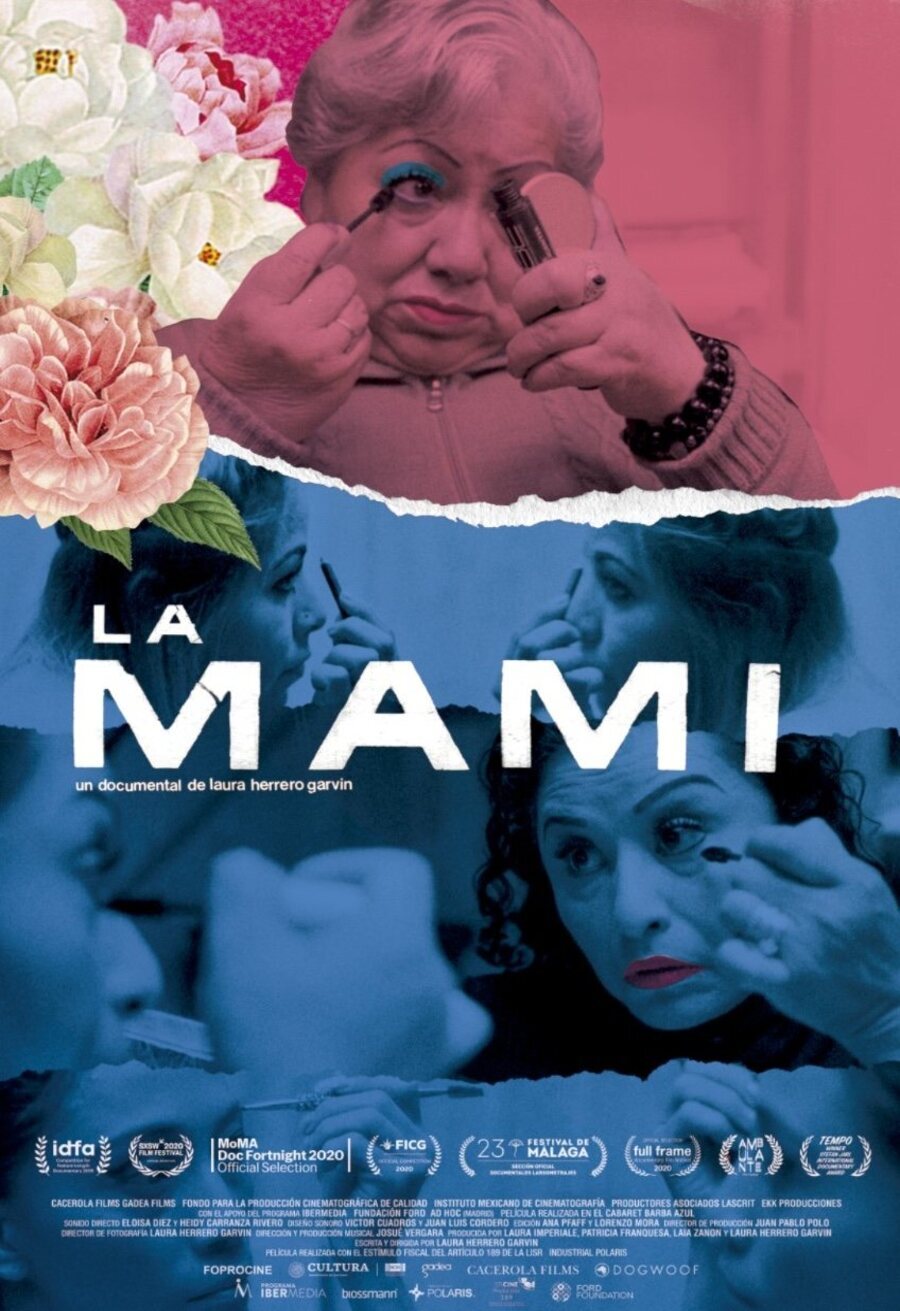 Poster of La mami - México