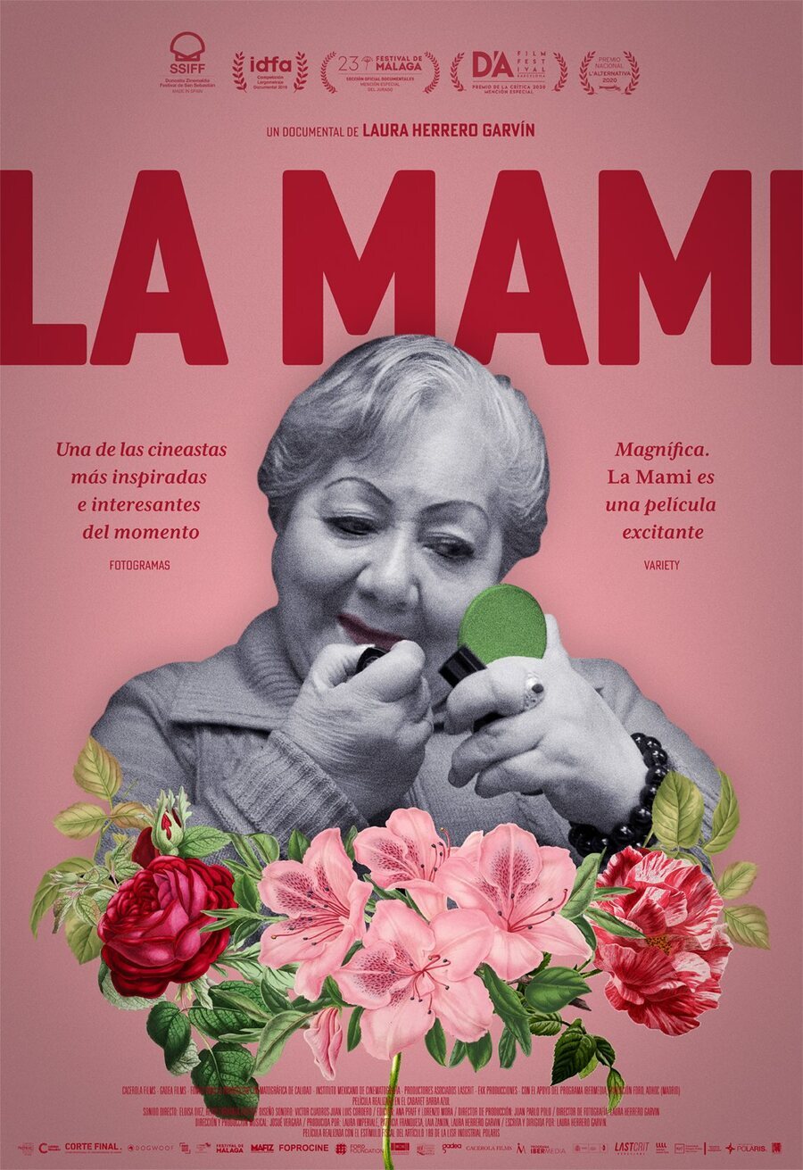 Poster of La mami - España