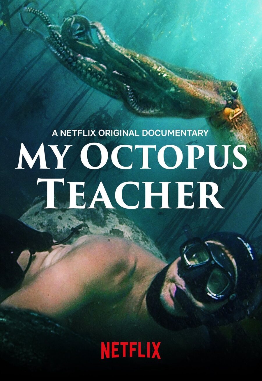 Poster of My Octopus Teacher - EEUU