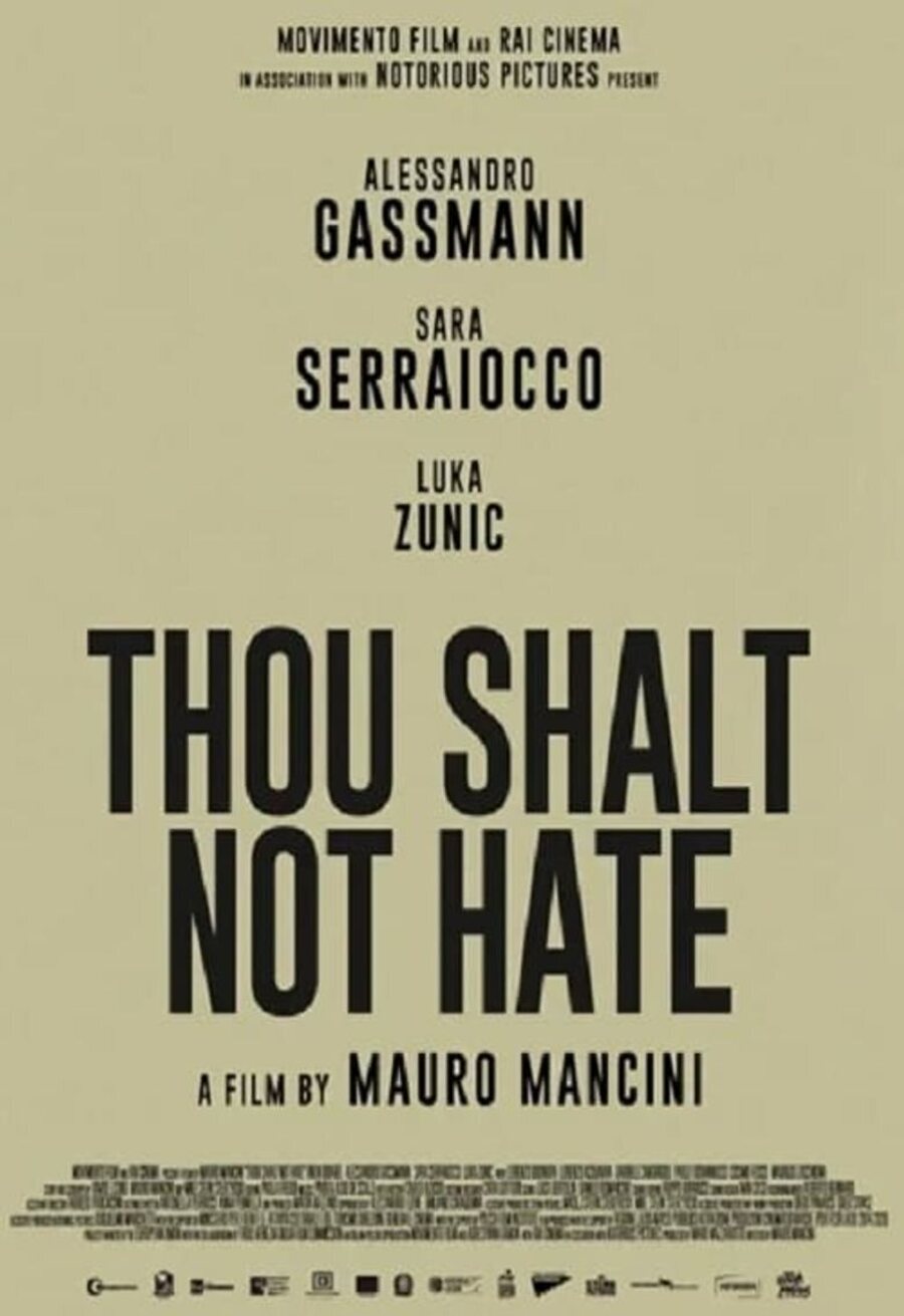 Poster of Thou Shalt Not Hate - Internacional