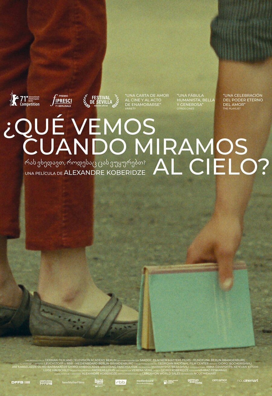 Poster of What Do We See When We Look at the Sky? - España