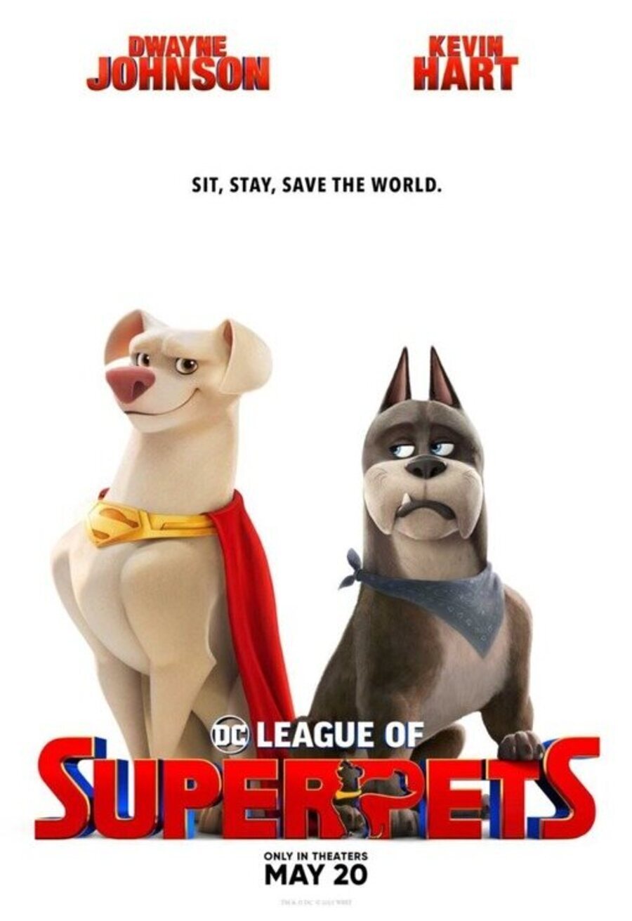 Poster of DC League of Super-Pets - DC Liga de Supermascotas