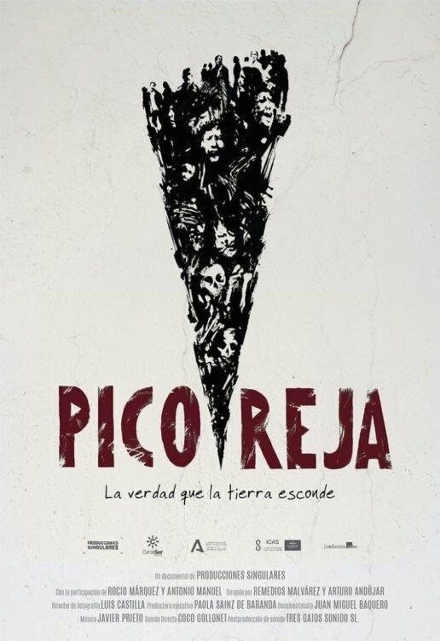 Poster of Pico Reja, the truth that lands hides - Pico reja, la verdad que la tierra esconde