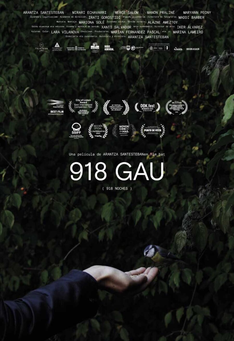 Poster of 918 Nights - 918 gau