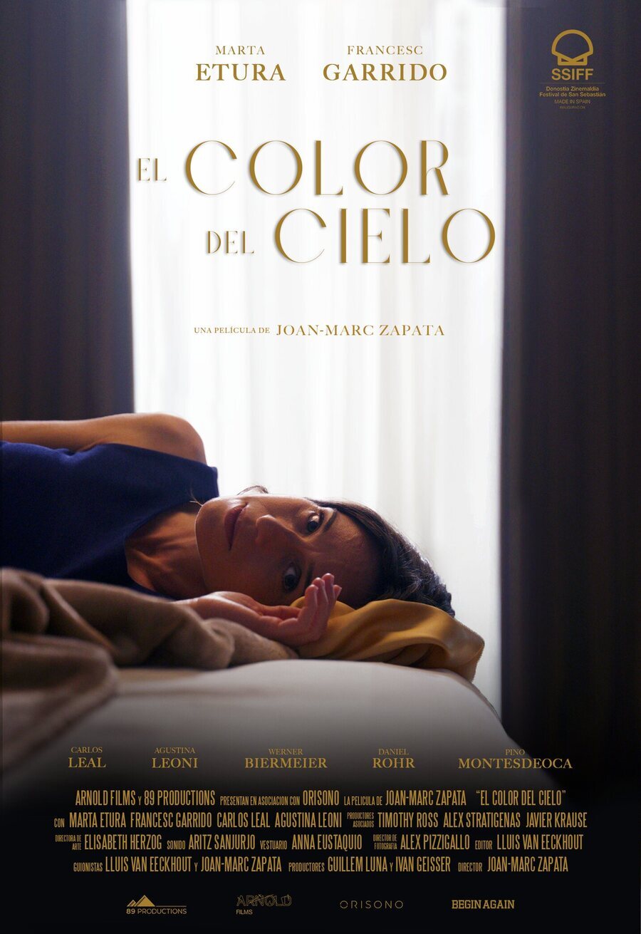 Poster of Color of Heaven - 'El color el cielo'