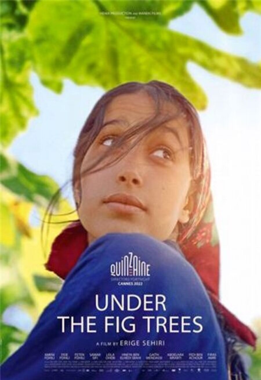 Poster of Under the Fig Trees - EE.UU.