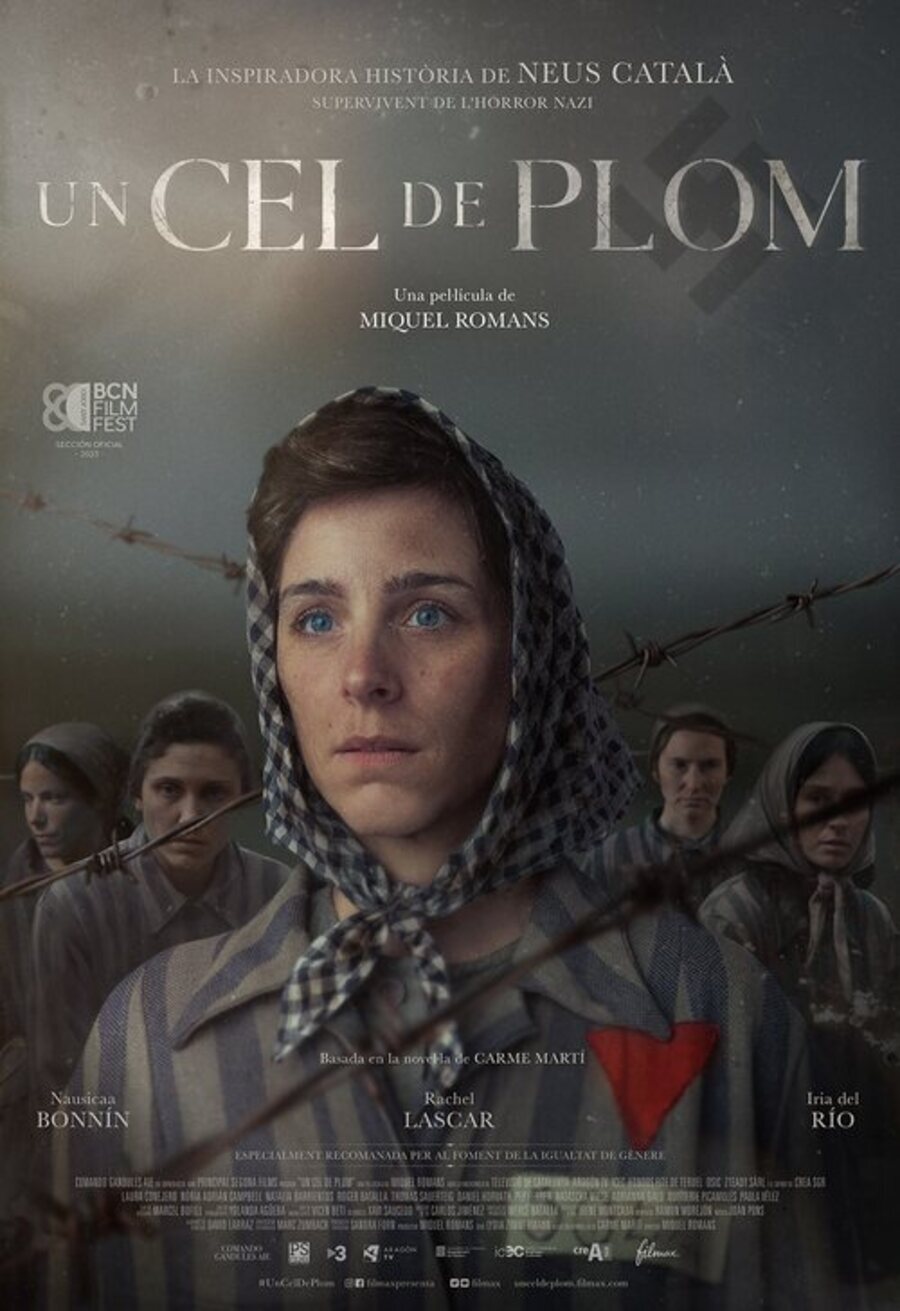 Poster of Un cel de plom - 