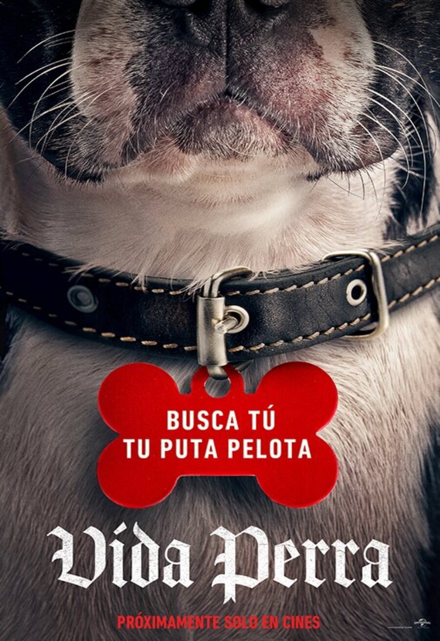 Poster of Strays - Cartel español