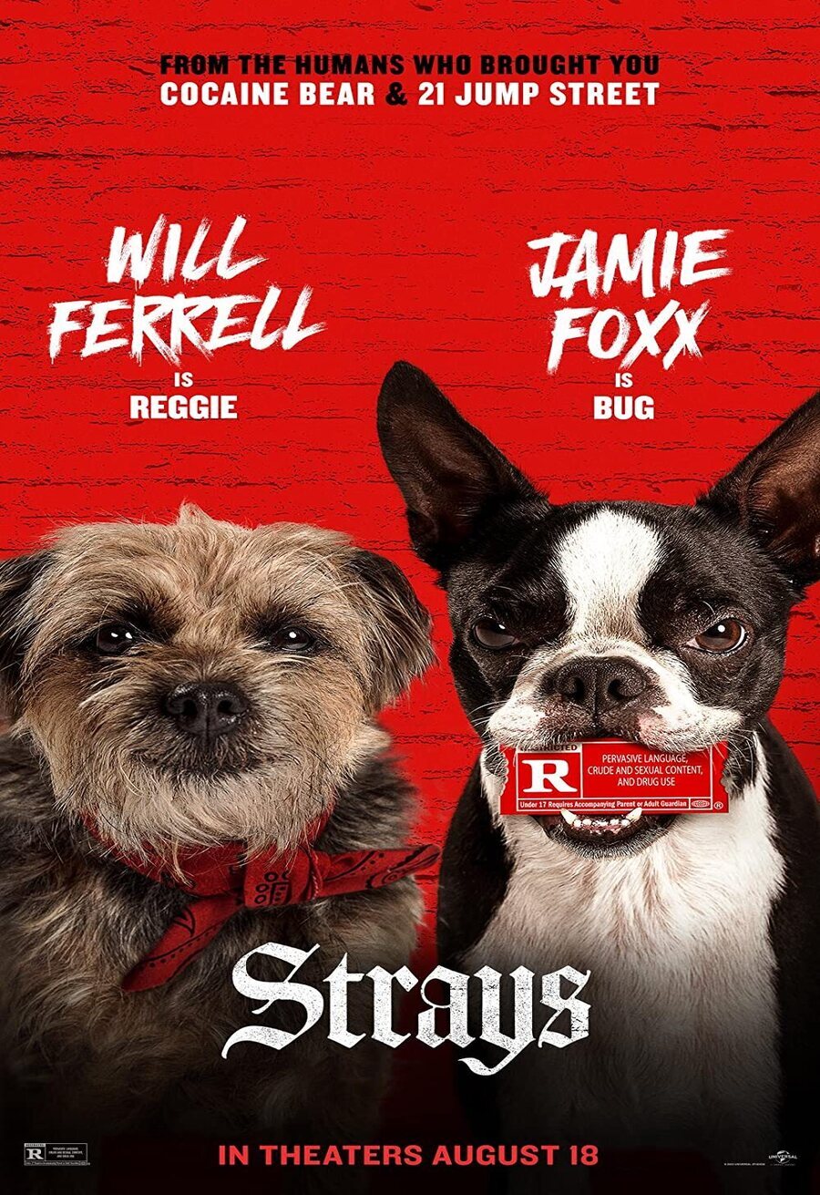 Poster of Strays - EE.UU.