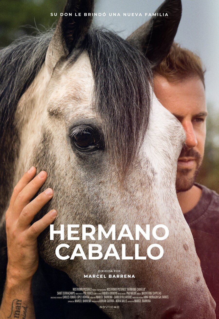 Poster of A Horse Story - España