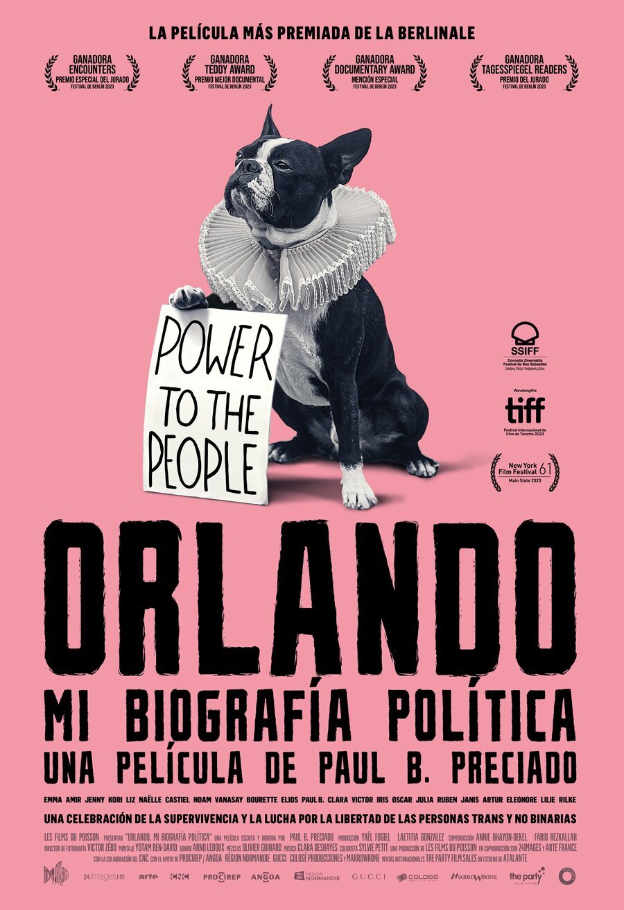 Poster of Orlando, My Political Biography - Cartel español