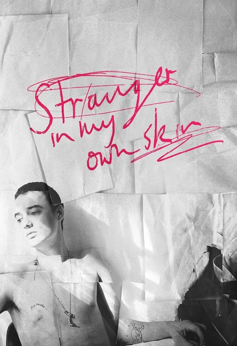 Poster of Stranger in My Own Skin - Original