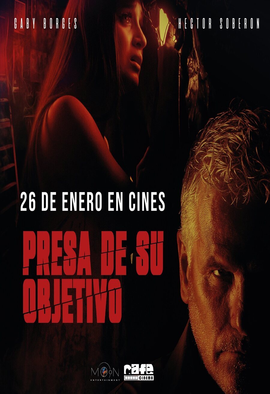 Poster of Framed - Cartel España