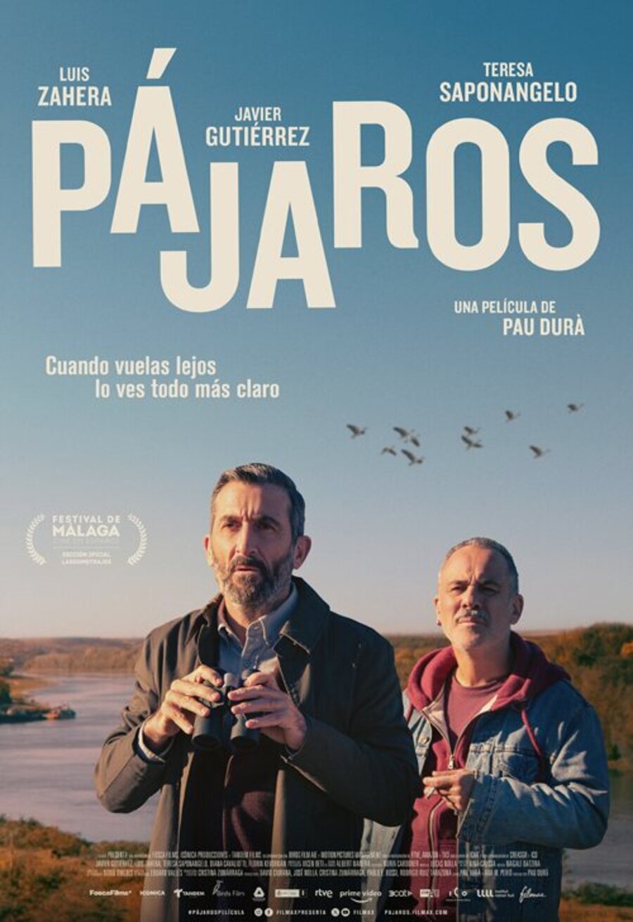 Poster of Pájaros - Cartel España