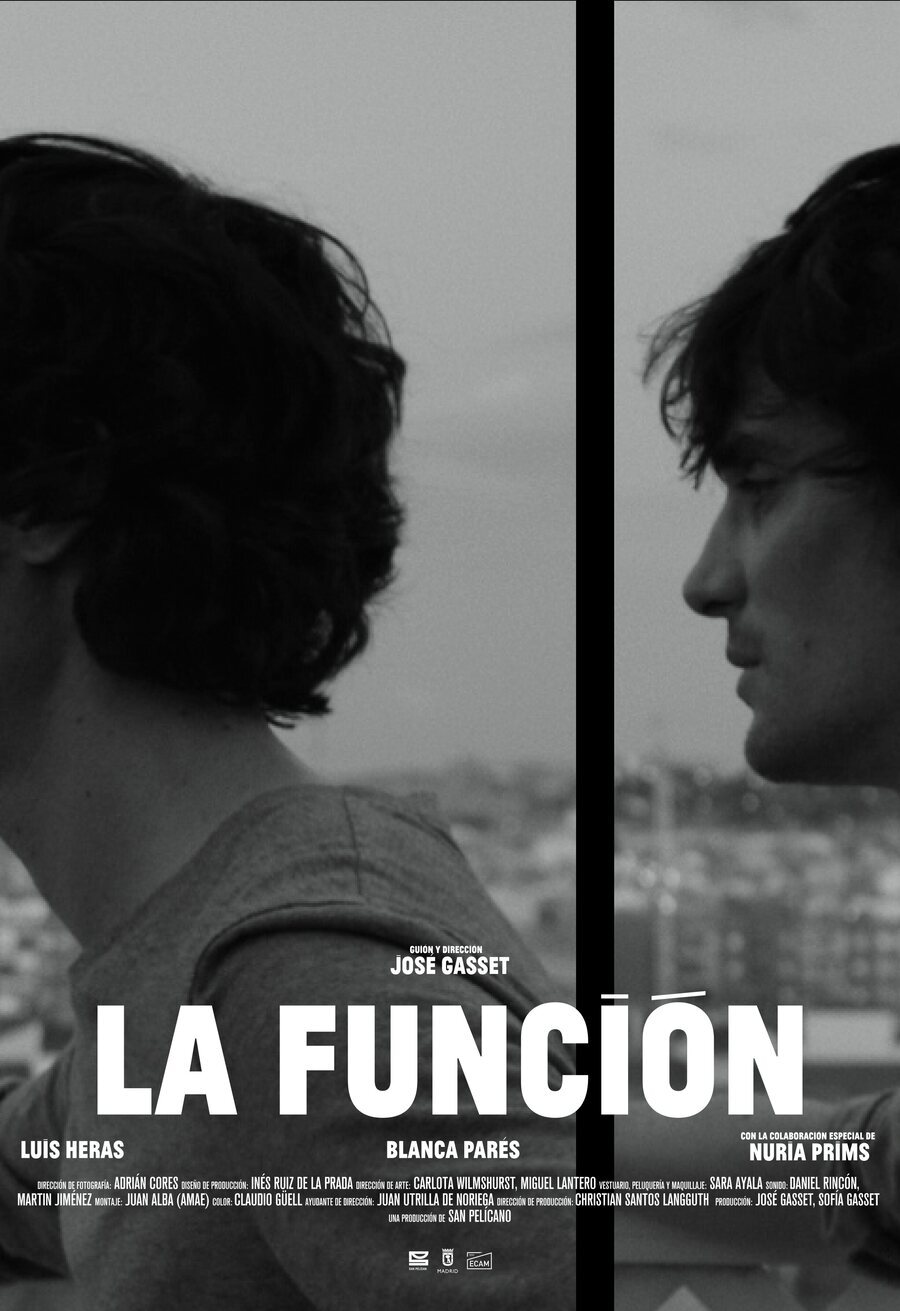 Poster of La función - Cartel original