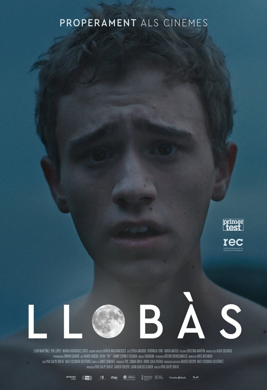 Poster of Llobàs - Cartel #2