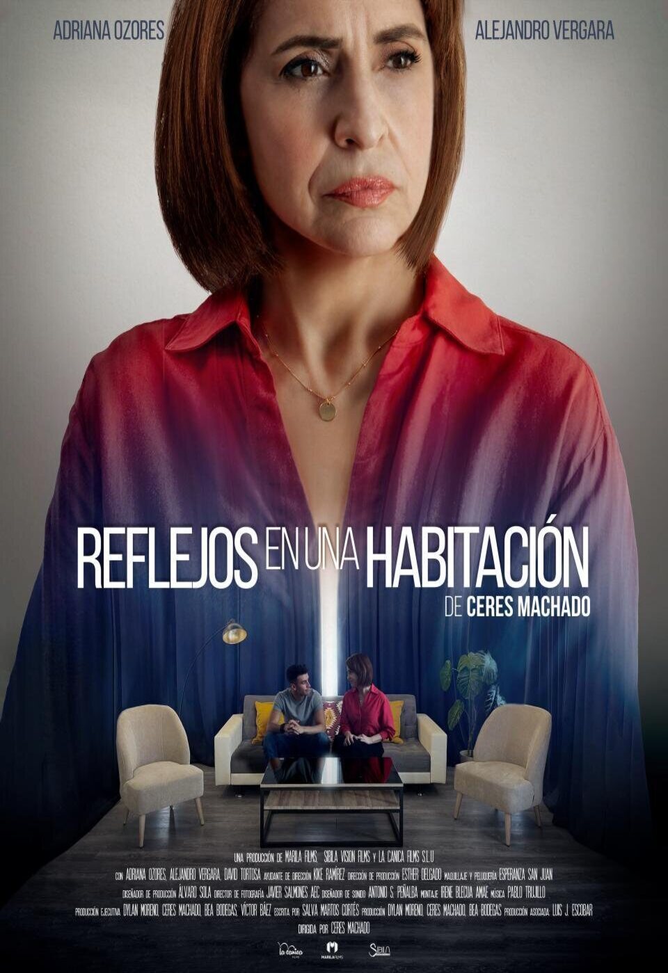 Poster of Reflejos en una habitación - España