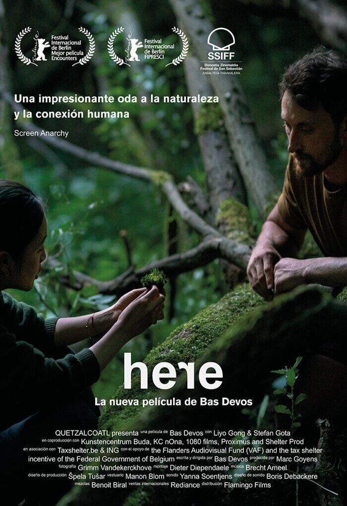 Poster of Here - España