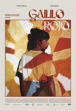 Poster Gallo rojo