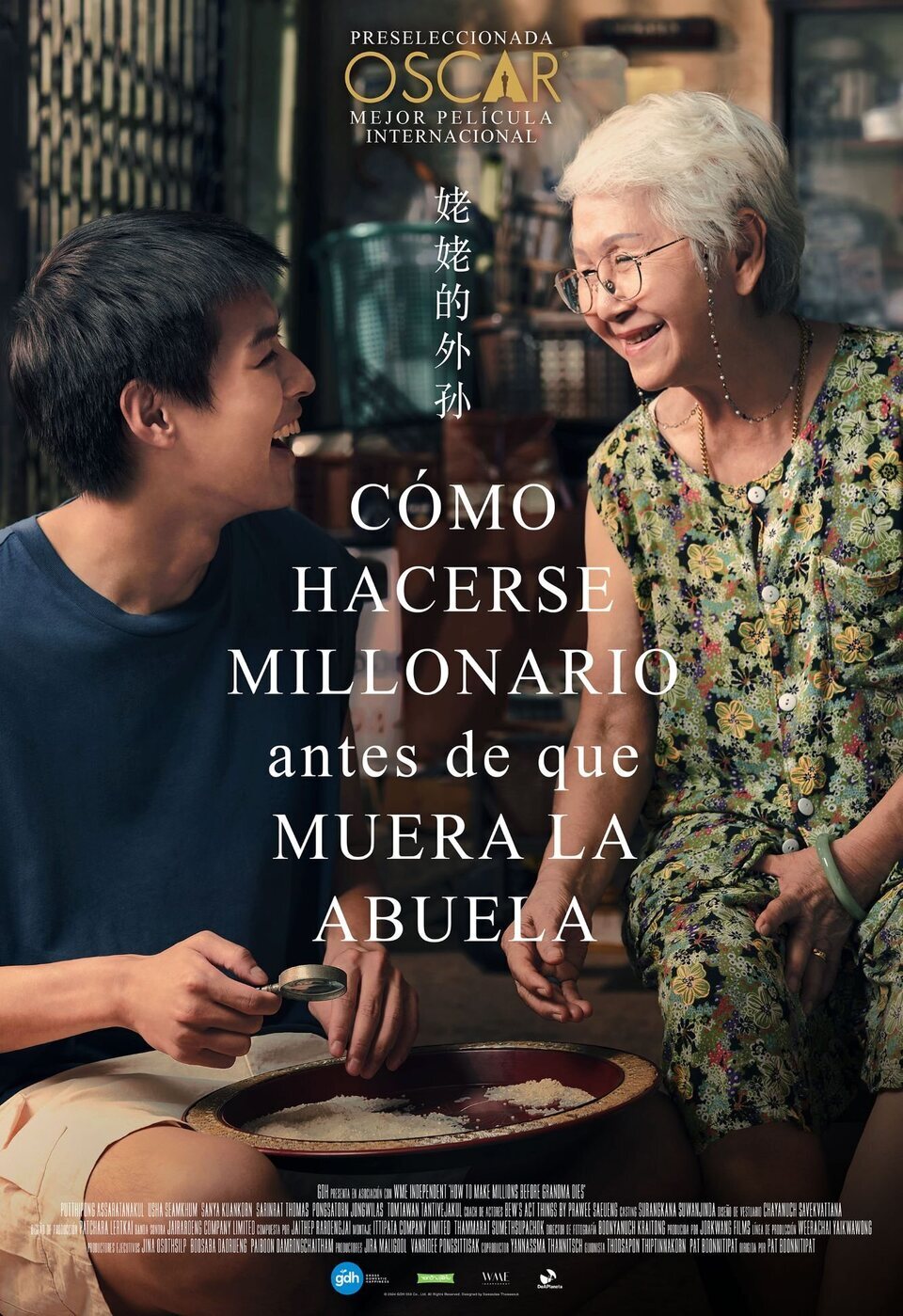 Poster of How to Make Millions Before Grandma Dies - Cartel España 'Cómo hacerse millonario antes de que muera la abuela'