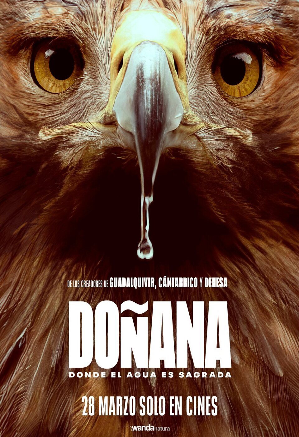 Poster of Doñana - Póster