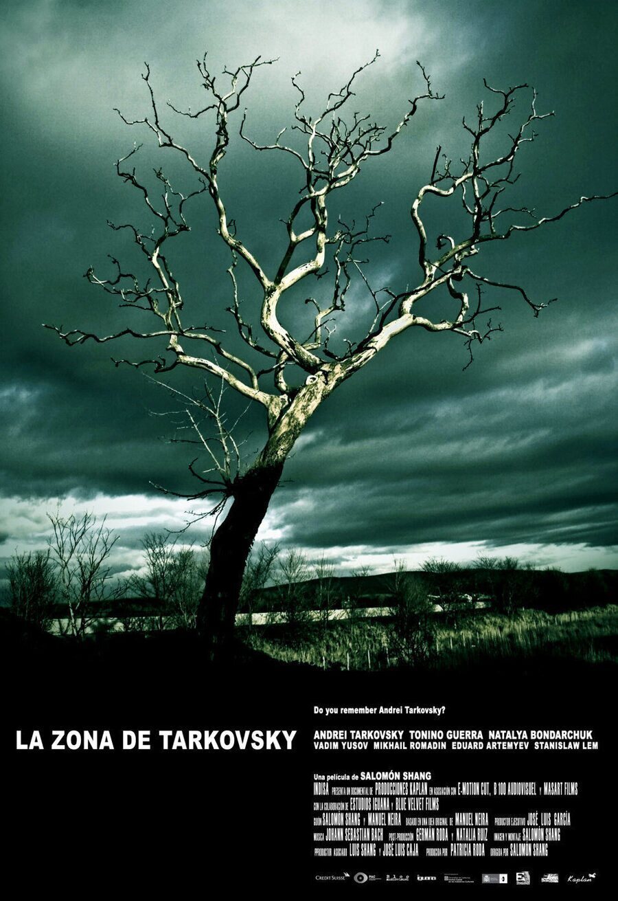 Poster of La zona de Tarkovsky - España