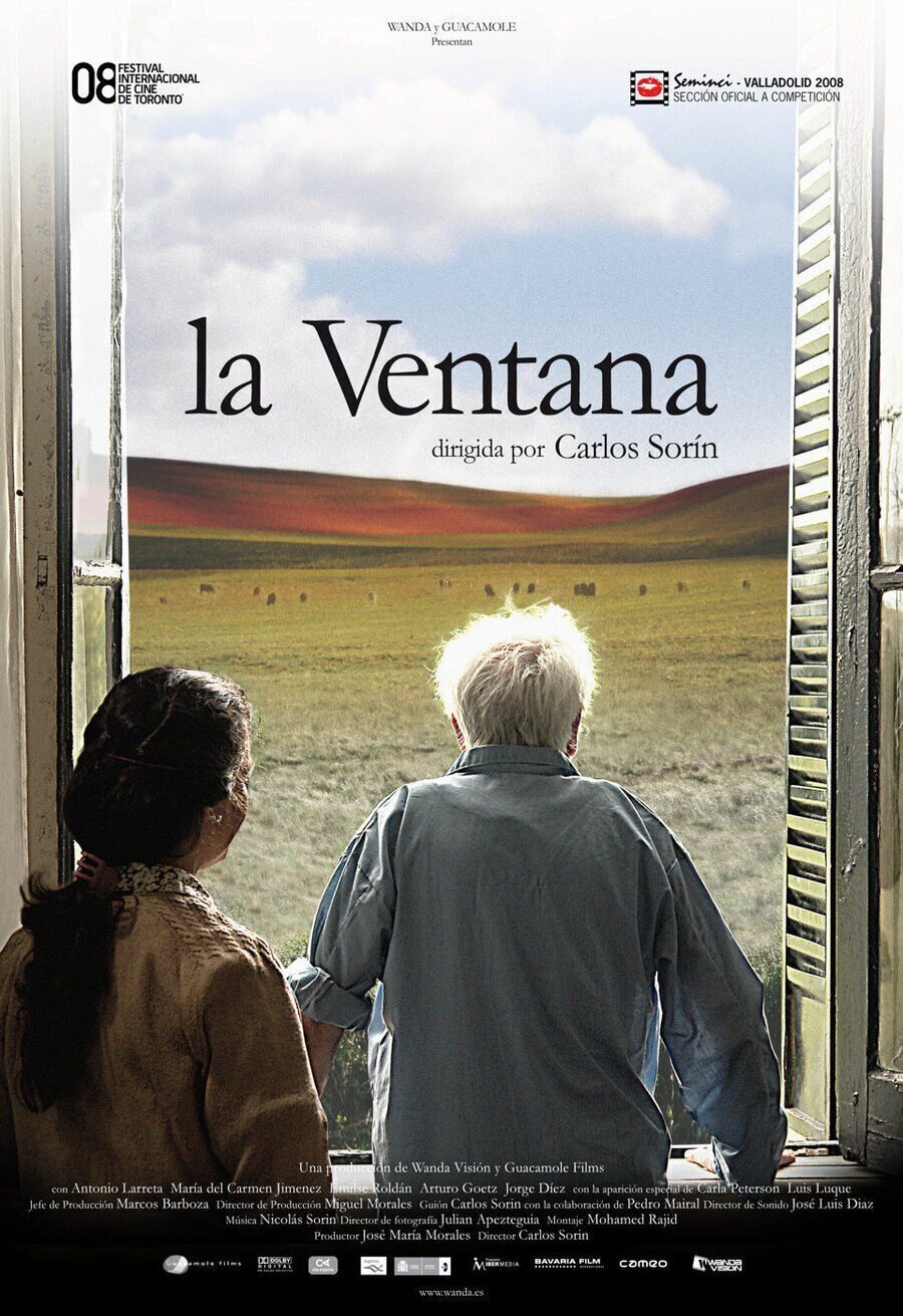 Poster of The Window - España