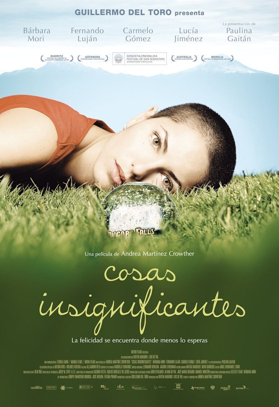 Poster of Insignificant Things - España